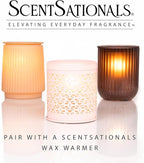 Scentsationals Berry Blossom Breeze Scented Wax Melts - Violet, White Lily, & Sweet Berries, 10oz (24 Cubes)