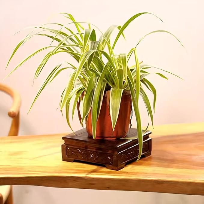 GOLDY&WENDY Vintage Indoor Home Decor Display Stand Square Solid Wood Black Catalpa Vase Plant Teapot Pedestal Base