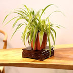 GOLDY&WENDY Vintage Indoor Home Decor Display Stand Square Solid Wood Black Catalpa Vase Plant Teapot Pedestal Base