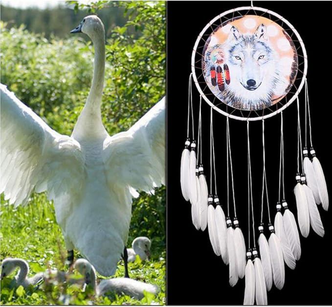 Wolf Dream Catcher, Handmade White Feather Dream Catchers Gift Wall Decoration Dreamcatchers