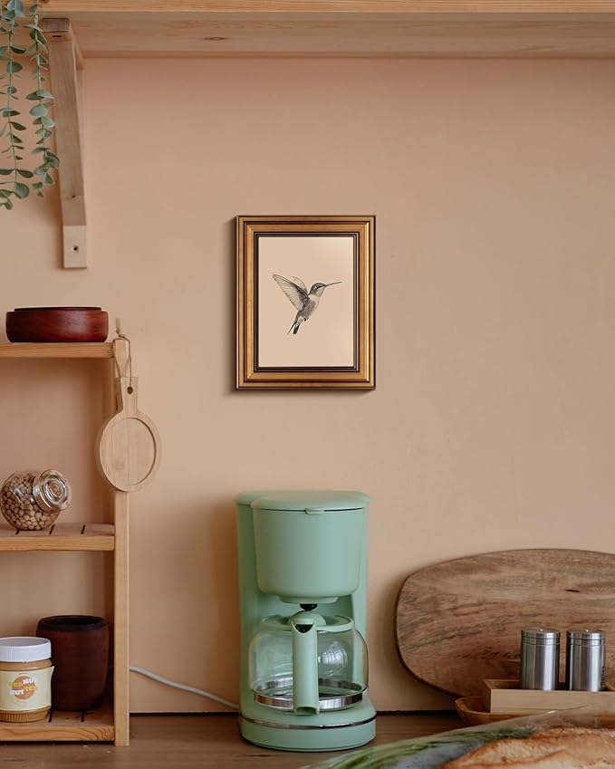 VIYYIEA Vintage Gold Framed Wall Art, Sketch Birds Canvas Painting, Cute but Exquisite Wall Decor, No Glass No Glare, Suitable for Bedside Tables, Foyer, Bookshelves,【Hummingbird】-10L x 8W