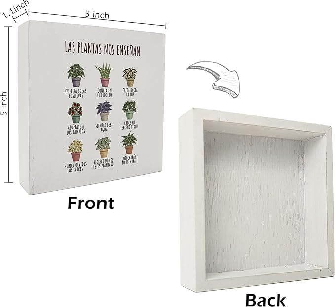 kunlisa Mental Health What Plants Teach Us Spanish Potted Plant Wooden Box Sign Desk Decor,Rustic Wood Block Plaque Box Sign for Therapy Office School Counseling Office Wall Shelf Tabletop Decoration