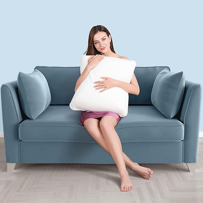 AM AEROMAX 20 ×20 Pillow Insert (Pack of 2) Memory Foam Throw Pillow Insert Sham Square for Decorative Cushion Bed Couch Sofa Without Deform After Longtime Use
