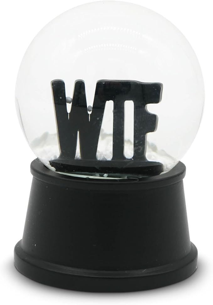 Funny Novelty Snow Globe – Quirky Mini Desk Gift for Office, Home, or Holiday – Unique Collectible Gag Gift for Friends and Coworkers - WTF