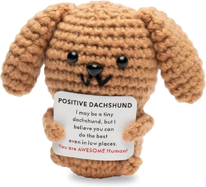 Funny Handmade Crochet Dachshund for Women Men, Positive Emotional Support Dachshund, Valentine's Day Gift, Birthday Basket Gift for Home Decorations