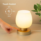 Touch Bedside Table Lamp Set of 2 - Small Modern Table Lamp for Bedroom Living Room Nightstand, 3-Way Dimable Desk lamp with Desert Titanium Color Glass Lamp Shade, 2700K LED Bulb, Simple Design