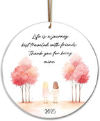 Friendship Ornament 2025, for Women, Birthday Gift for Best Friend, Friend Ornaments for Women, Gift for Friends, Friend Ornament