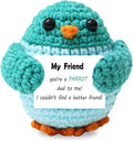 Funny Positive Crochet Parrot Birthday Gifts with Positive Card for Friends, Emotional Inspirational Support Cheer Up Christmas Stuff Gifts for Home Office Desktop Decor