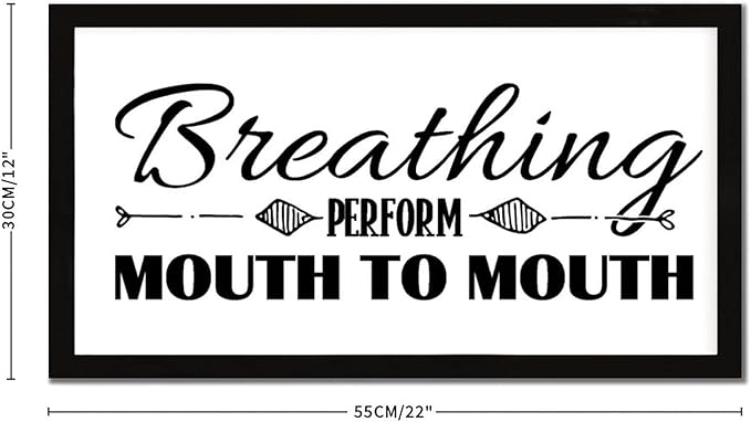 Scripture Verses 12x22in Wooden Wall Plaque with Life Positive Quote Breathing Perform Mouth to Mouth Rustic Chic Style Black Frame Wooden Plaque for Cottage New Home Farmhouse Porch Wall Decor