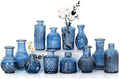 Mini Bud Vases Centerpieces for Tables,Clear Bud Vases for Flowers,Small Flower Vases Suitable for Birthday Party,Anniversary,Wedding Reception,Baby Shower (Blue, 12PCS)