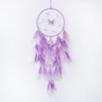 Pretty Jolly Dreamy Girls Butterfly Dream Catcher Wall Decor Fairy Purple Feather Baby Dreamcatcher Handmade Home Décor Wall Hanging for Nursery Bedroom Girls Birthday Gift