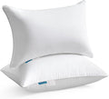 Oubonun 16 x 24 Pillow Inserts (Set of 2) - Lumbar Pillow with 100% Cotton Cover - Rectangle Square Interior Sofa Pillow Inserts - Decorative Pillow Insert Pair - White Couch Pillow
