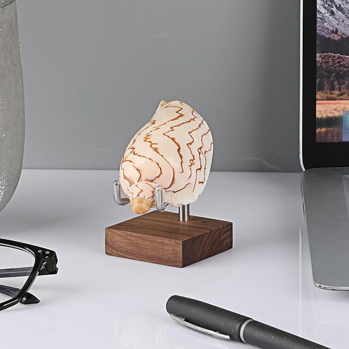 Hipiwe 2 Pack Crystal Display Stand with Wood Base, Adjustable Metal Arms Display Stand Easel for Displaying Geodes Rock Mineral Agate Coral Seashell,Small,2 x 2 x 2.9 Inches