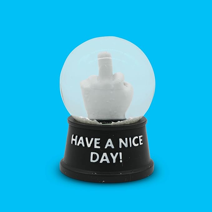 Funny Novelty Snow Globe – Quirky Mini Desk Gift for Office, Home, or Holiday – Unique Collectible Gag Gift for Friends and Coworkers - Have a Nice Day