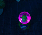 Care Bears Good Luck Bear Light-Up Mini Adult Snow Globe with Glitter Display | 2.5 Inches Tall
