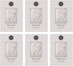 Bridgewater Candle Sachet Air Freshener Bag for Home or Car 6 Pack-Sweet Grace