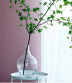 Ryddelighome Large Clear Glass Vase 12 Inch - Round Glass Vase for Flowers, Clear Round Vase Pampas Grass Decor, Glass Jar Table Centerpiece Home Decor