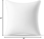 AM AEROMAX 20 ×20 Throw Pillow Memory Foam Pillow Insert - Square Accent Pillow for Decorative Cushion Bed Couch Sofa - Non-Deforming Over Time