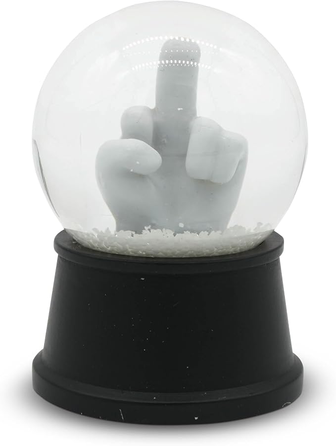 Funny Novelty Snow Globe – Quirky Mini Desk Gift for Office, Home, or Holiday – Unique Collectible Gag Gift for Friends and Coworkers - Have a Nice Day