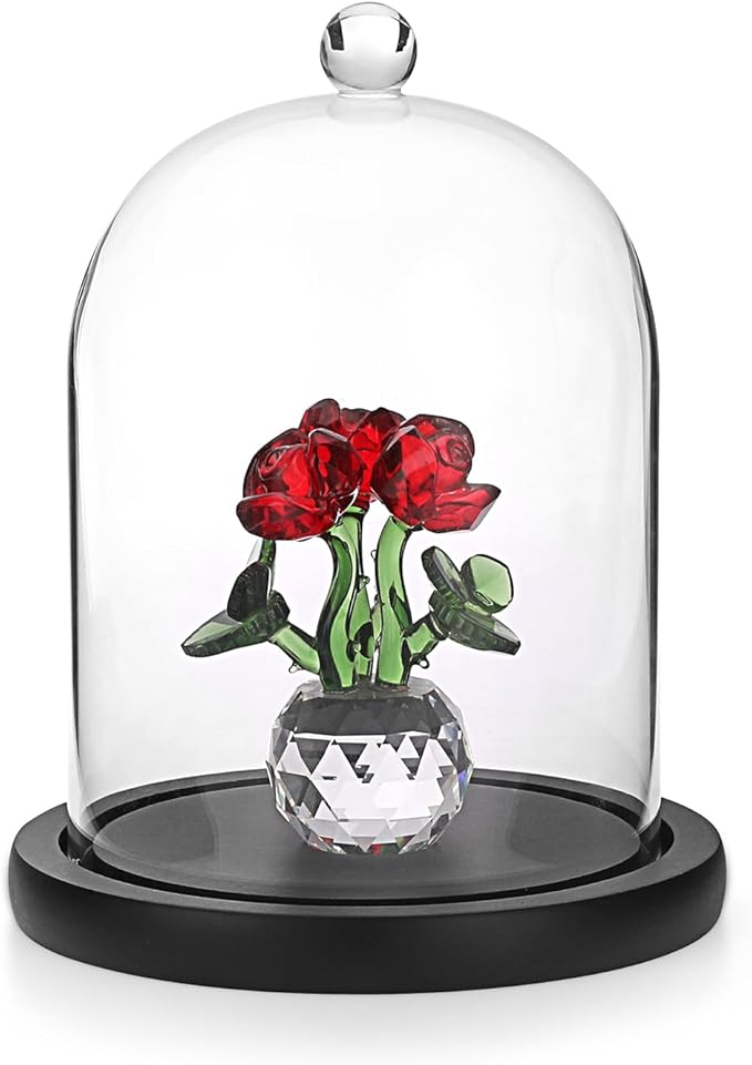 JUXYES Glass Display Dome Cloche with Wood Base, Clear Glass Dome Cloche Bell Sphere Jar Snow Globe Kit, Snowglobe Cloche Bell Jar Display for Fairy Light Plant Collectible Figures