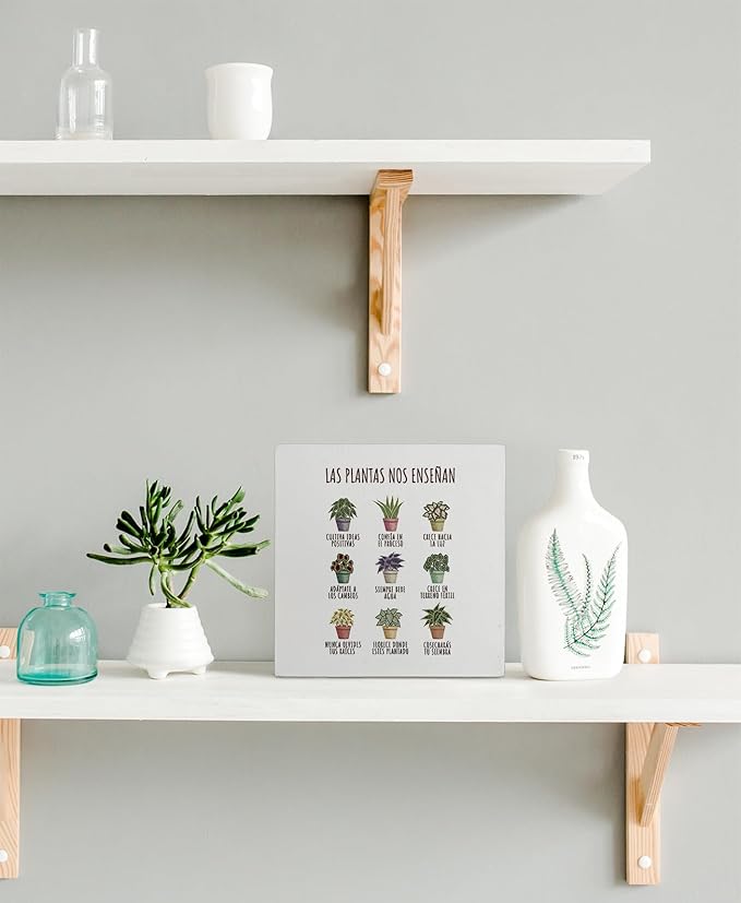 kunlisa Mental Health What Plants Teach Us Spanish Potted Plant Wooden Box Sign Desk Decor,Rustic Wood Block Plaque Box Sign for Therapy Office School Counseling Office Wall Shelf Tabletop Decoration