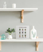 kunlisa Mental Health What Plants Teach Us Spanish Potted Plant Wooden Box Sign Desk Decor,Rustic Wood Block Plaque Box Sign for Therapy Office School Counseling Office Wall Shelf Tabletop Decoration