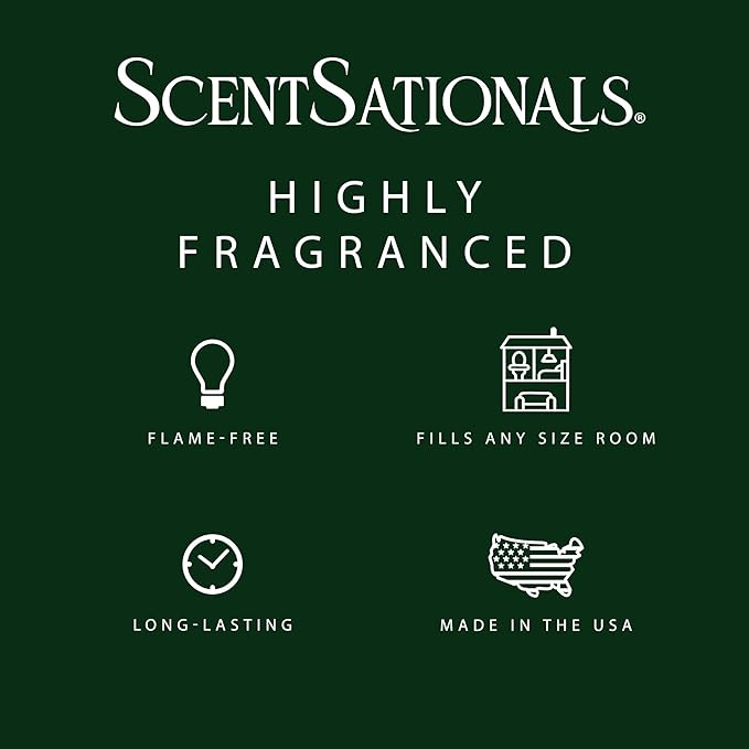 Scentsationals Woodland Spruce Scented Wax Melts - Amber Birch, Eucalyptus, & Sage, 10oz (24 Cubes)