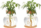 Plant Propagation Station,Hydroponic Glass Container Vase Jars, with Wooden Saucer for Desks, Houses, Garden Decorations, Home Kitchen Decorations and Gifts for Plant Lovers (2)
