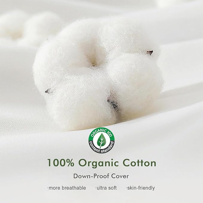 Feathers Down Pillow Inserts 26x26, Set of 2, Euro Pillow Insert with 100% Organic Cotton Shell, Soft Decorative Throw Pillow for Living Room, Sofa, Couch, or Bed (White)