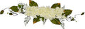 V-MAX 28" Hydrangea Swag - Cream