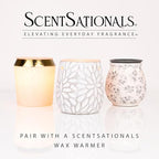 ScentSationals Molten Orange Scented Wax Melts - Sweet Oranges, Clementine, & Lemon Zest, 10oz (24 Cubes)