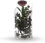 WGV Cylinder Vase Bulk, Width 7", Height 12", Clear Wide Large Diameter Flower Glassware, Floral Container, Planter Terrarium for Wedding Party Event, Home Accent Decor, 4 Pieces