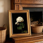 Gold Framed Moody Flower Canvas Wall Art White Hydrangea Living Kitchen painting Decor Pictures Bedroom Vintage Plant Floral Posters Prints for Corridor Classroom Bedroom Woman Room Decoration
