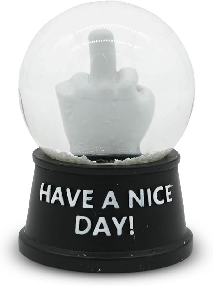 Funny Novelty Snow Globe – Quirky Mini Desk Gift for Office, Home, or Holiday – Unique Collectible Gag Gift for Friends and Coworkers - Have a Nice Day