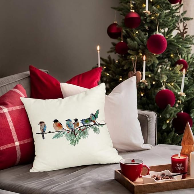 RABUSOFA Christmas Pillow Covers 20x20 Inch Birds Winter Decorations Christmas Throw Pillow Cases Xmas Outdoor Birds Decor Decorative Pillows for Couch Holiday Teal