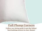 Pillowflex Premium Polyester Throw Pillow Insert - 30x30 Ultra Soft Square Throw Pillow, Couch Sham, Lumbar, Back, Sofa - Machine Washable - Decorative Accent Form - 1 Soft Pillow