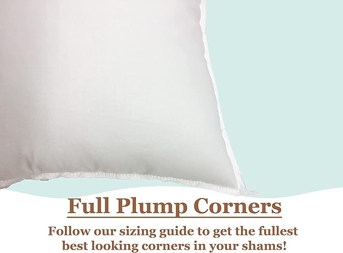 Pillowflex Premium Polyester Throw Pillow Insert - 24x24 - Ultra Soft Square Throw Pillow, Couch Sham, Lumbar, Back, Sofa - Machine Washable - Decorative Accent Form - 1 Soft Pillow