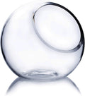 WGV Slant Cut Bowl Glass Vase, Width 5.5", Height 5.5", Clear Round Globe Planter Terrarium Orb, Candy Dish, Fruit Jar, Floral Container for Home Office Decor, 1 Piece