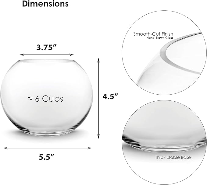 CYS EXCEL Glass Bubble Vase (H-4.5" W-5.5", Approx. 1/4 Gal.) Small Fish Bowl Round Terrarium Vase Globe Flower Centerpiece for Weddings Events Arrangements
