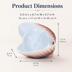 Seashell Pearl Night Light Ocean Sea Shell Snow Globe with Music and 6H Timer, USB & Battery Powered, Decorative Shell Night Light for Adult Kid Bedroom Living Room Coastal Decor Ideal Gift (Seashell)