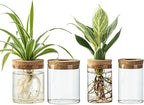 Glass Propagation Stations for Plants -Desktop Flower Vases,Propagation Flower Vases Set – 2 Large & 2 Small for Plant Cuttings，for Living Room, Bedroom Decoration,Home,Office Decor (4)