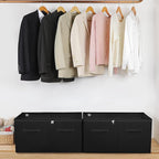 Shoe Organizer for Closet 2 Pack, Foldable Shoe Box with Adjustable Divider and Clear Cover, Space Saving Shoe Storage Organizer Cabinet with Reinforced Handles, Fits 40 Pair, Black, TP11B
