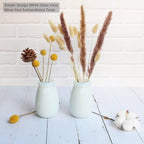 YANLING 6 Pack White Vase for Decor Ceramic Vase for Flowers, Small Bud Vases for Home Decor White Flower Vase, Boho Vases Dried Flowers Vases