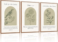 KAlRNE Sage Green Bible Verse Wall Art Set of 3(24”x36”),Framed Vintage Scripture Prints,Religious Birds and Lilies Decor,Green Christian Gallery Artwork for Living Room Bedroom Office