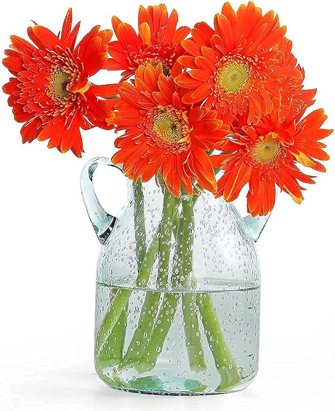 MDLUU Seeded Glass Vase, 4.6" W x 6.7" H, Clear, Double Ear Design, Coastal Modern Style, Perfect for Dining Room, Bedroom, Bathroom