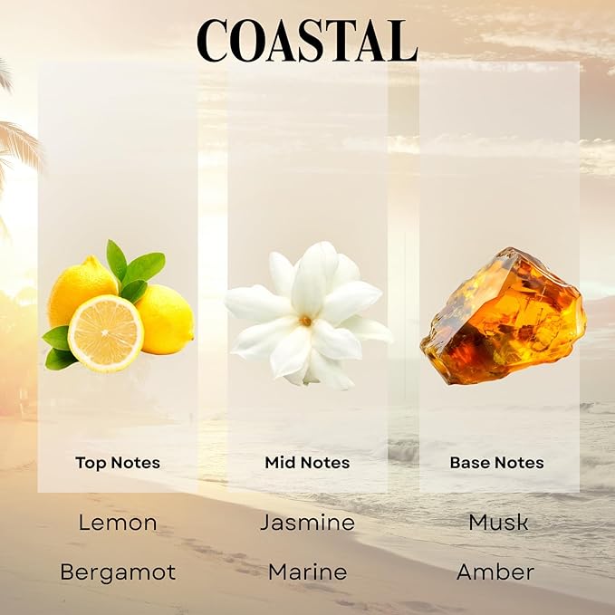 Scentia Hotel Diffuser Oil Inspired by 5-Star Hotel Scent - 120 mL 4.06 fl oz - Essential Oil Blend Botanical Jasmine, Bergamot & Fresh Notes for Aromatherapy Diffusers - Coastal, Christmas Gift