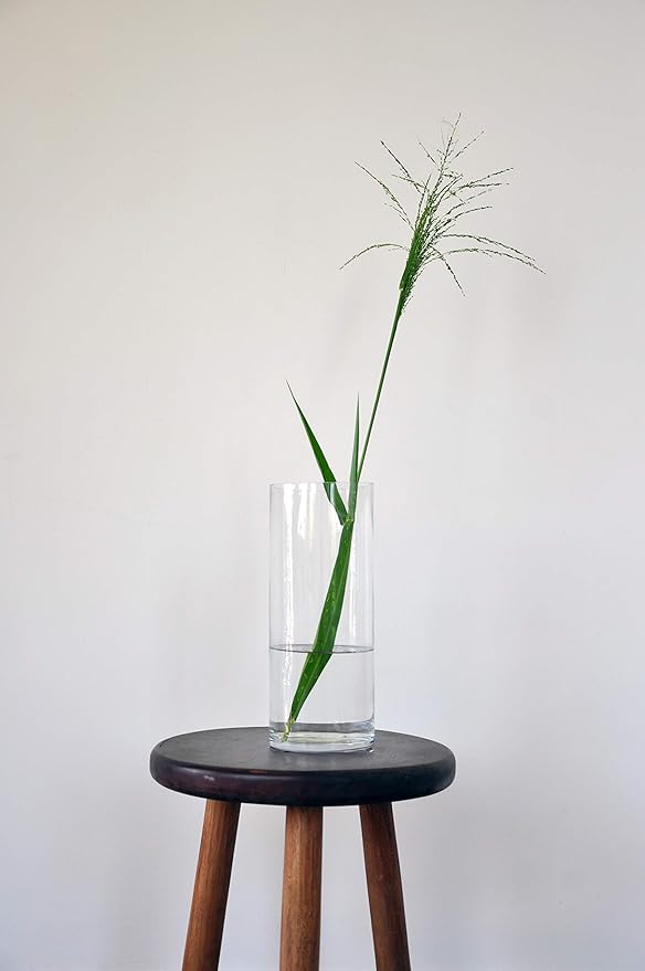 WGV Cylinder Vase Bulk, Diameter 5", Height 12", Clear Glass Floral Planter Container, Tall Centerpiece Arrangement for Wedding Party Event Home Office Decor, 12 Pieces