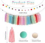 Avxdbr 2Pcs Boho Rainbow Tassel Garland Pom Pom Tassel Banner Colorful Wall Hanging Party Decorative Boho Classroom Decor for Back to School Wedding Birthday Baby Shower