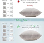 puredown® Euro Pillow Inserts 24 x 24 (Pack of 2, White), Feather Down Pillow Stuffer, White Throw Pillows for Bed, Couch, and Cushion