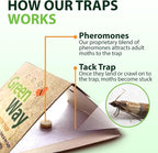 Greenway Pantry Food Moth Traps, Captures Male & Female Moths, Pheromone Attractant, Alternative to Naphthalene Balls, Non-Toxic, Child & Pet Safe, 1 Pack (Includes 2 Traps and 2 Lures)